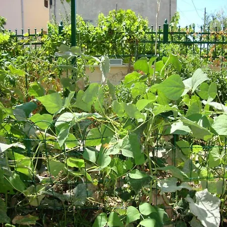 Primosten-huljev Appartamento