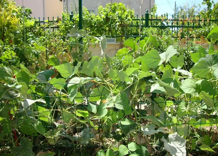 Primosten-huljev Apartamento